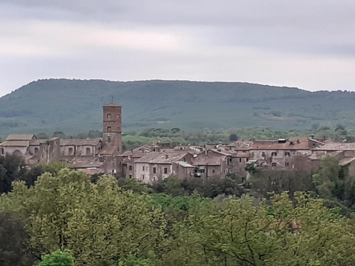 Alloggio Turistico 苏特里 外观 照片